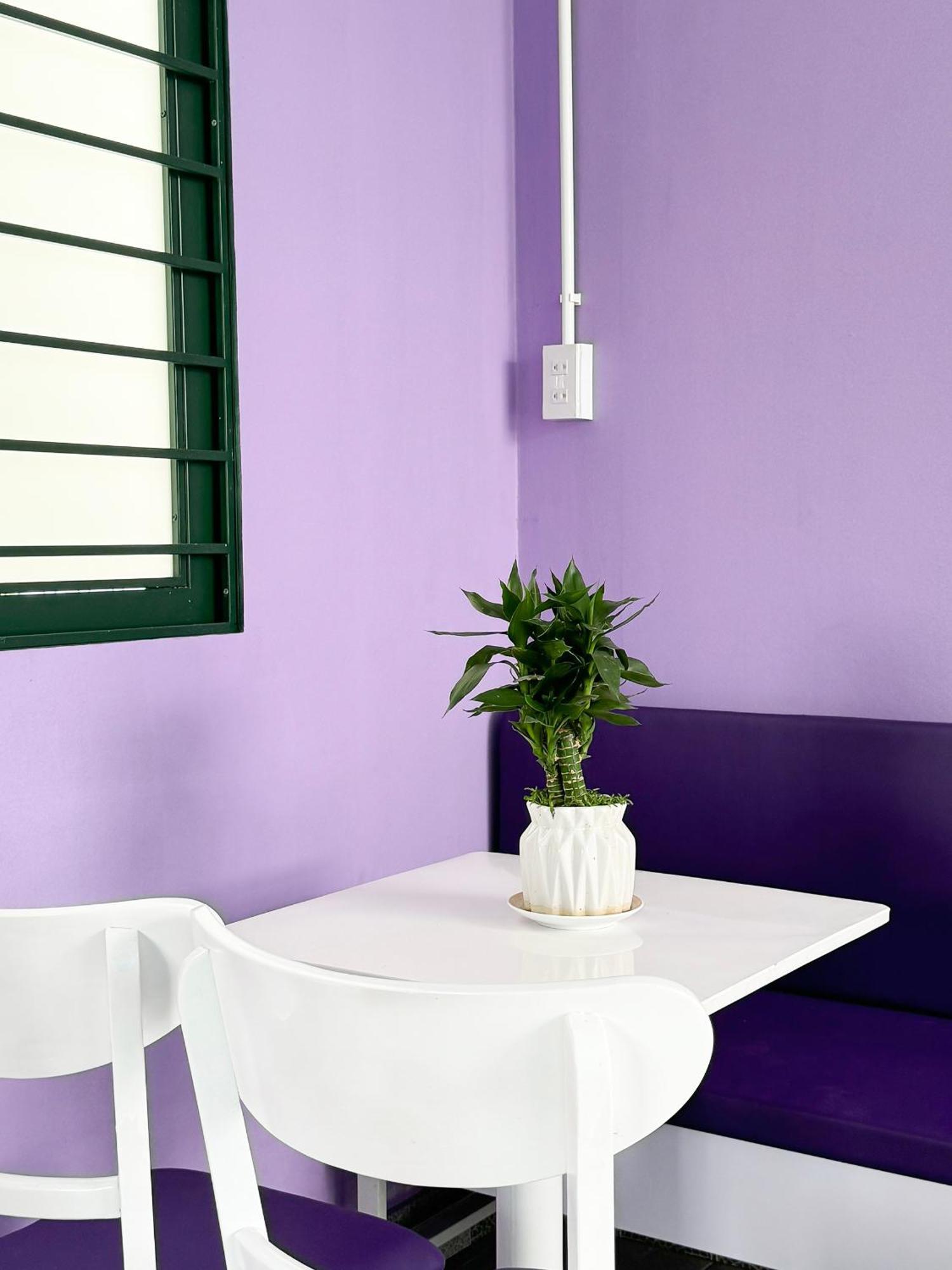 Plumeria Homestay Thon Kim Long Zewnętrze zdjęcie